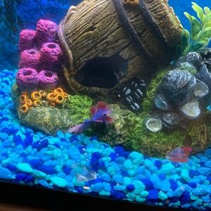 Meet your Posher, Nick